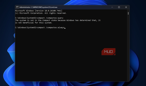 Windows command prompt with compactos command set to always.