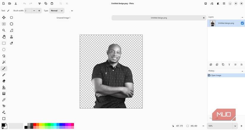 Working with Pinta layers