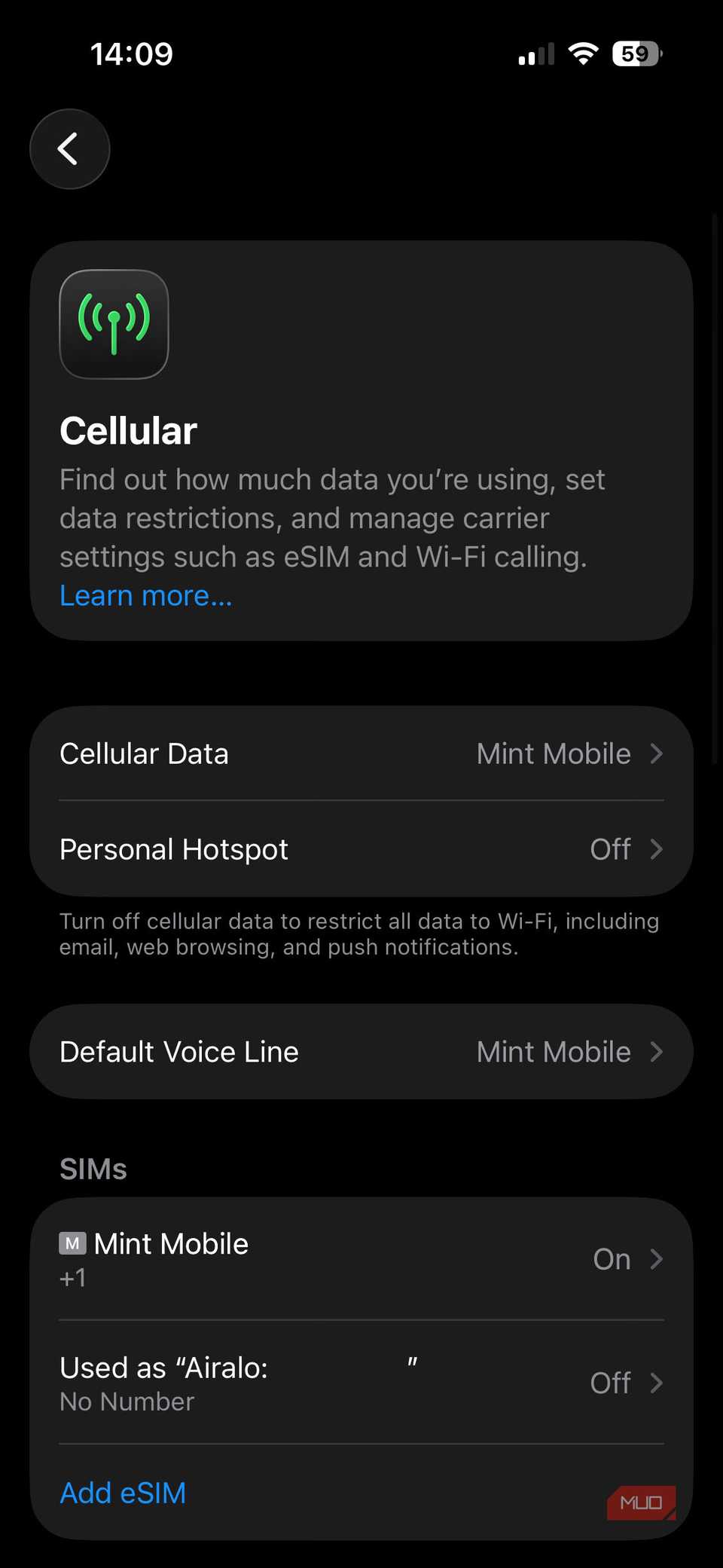 01b iPhone Cellular Settings Menu