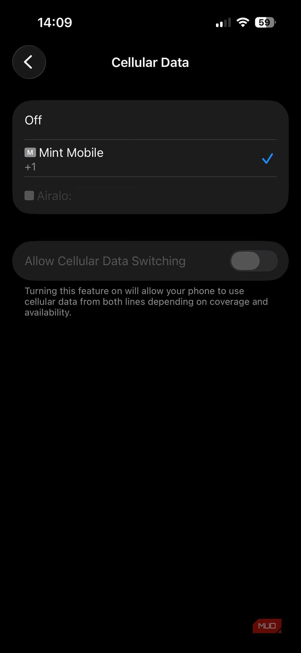 01c iPhone Cellular Disable Data Menu