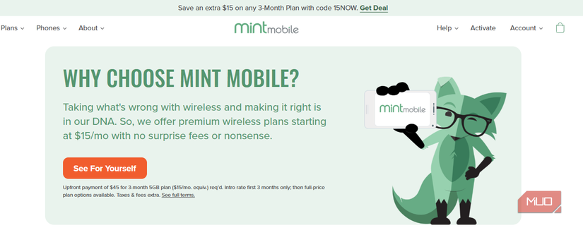 02 Mint Mobile Homepage