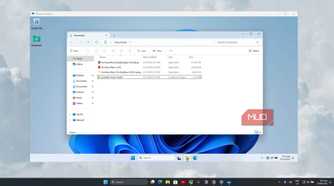 Advanced-Windows-Sandbox-Setup