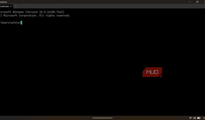 An open WezTerm window displaying the standard version header and user path.