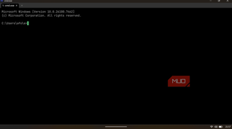 An open WezTerm window displaying the standard version header and user path.