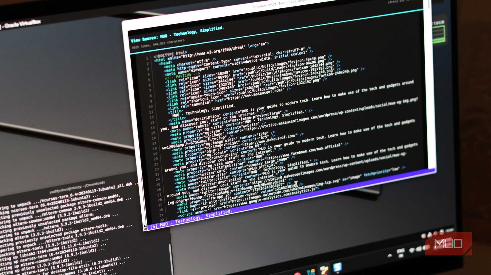 I laughed at this terminal browser—until I actually used it