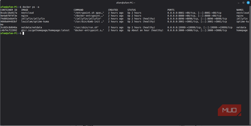 Contenedores Docker mostrados en la terminal