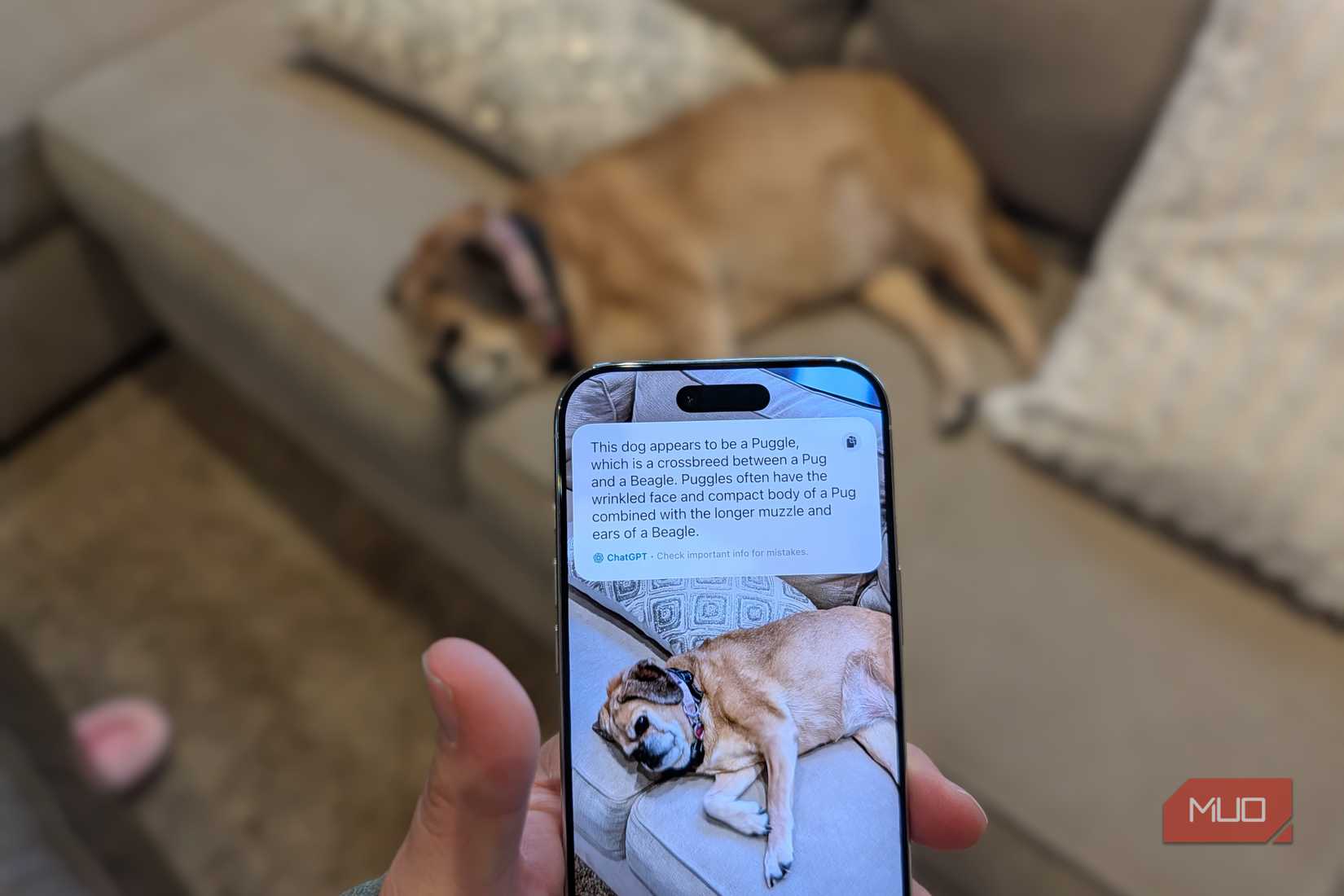 Apple Visual Intelligence on iPhone Air