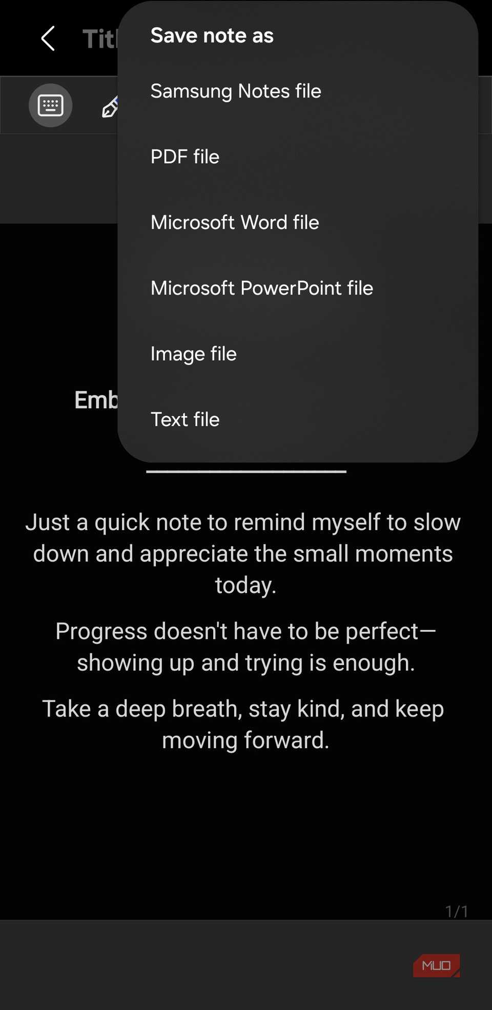 Export options in Samsung Notes app