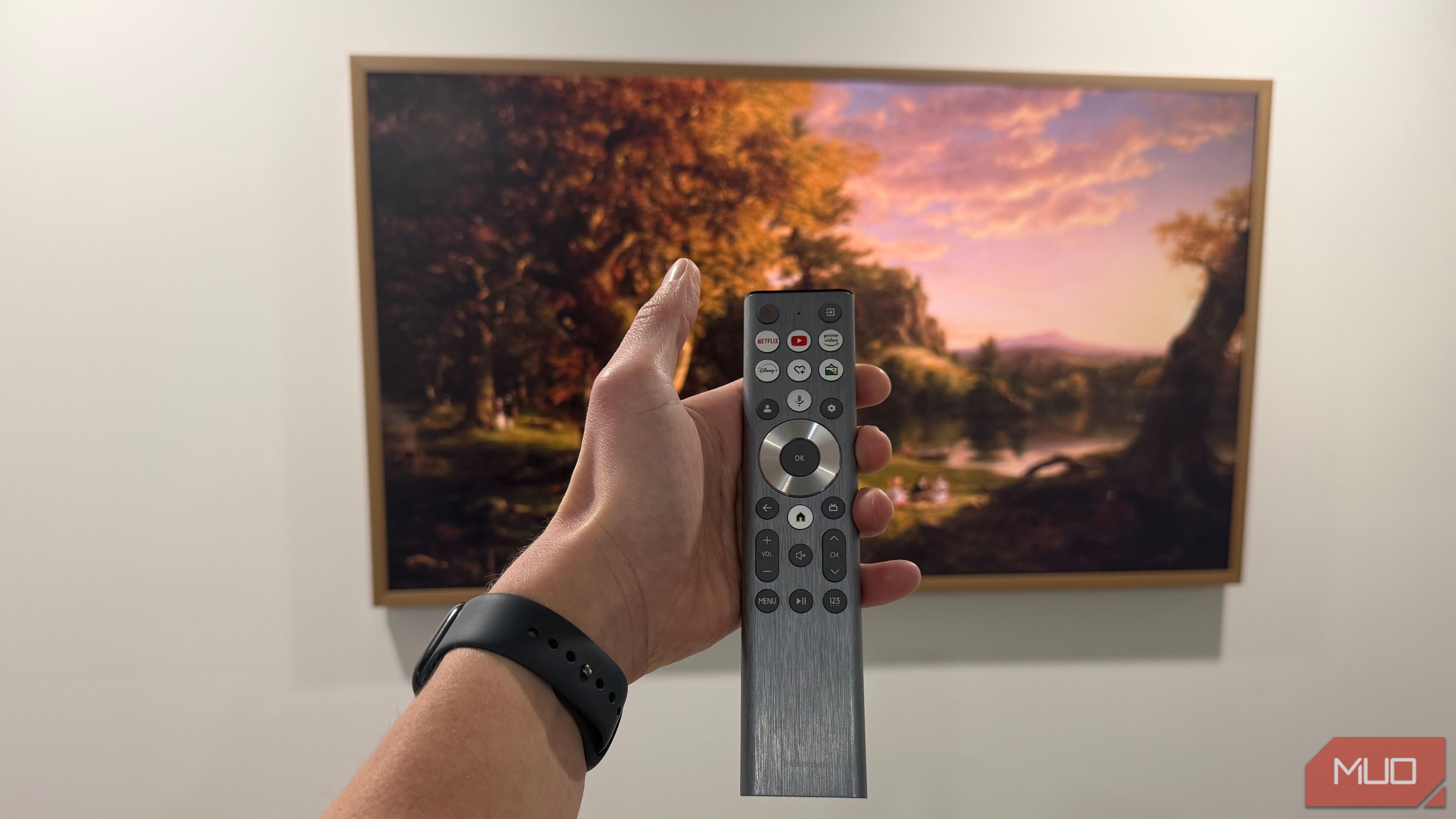 hisense canvas tv remote