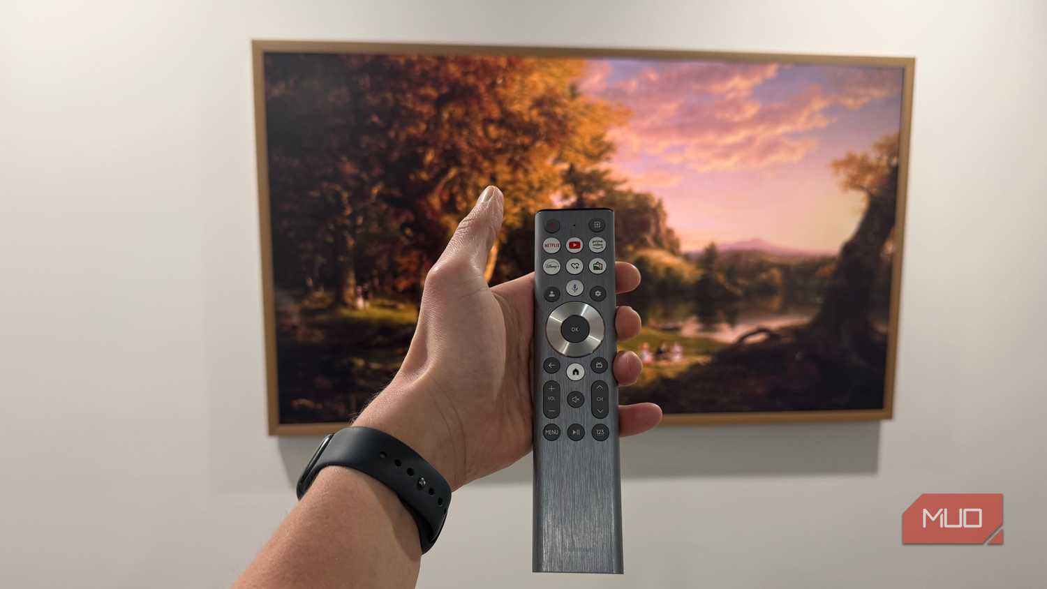hisense canvas tv remote