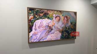 hisense canvas tv women painting