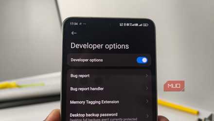Developer's option in settings