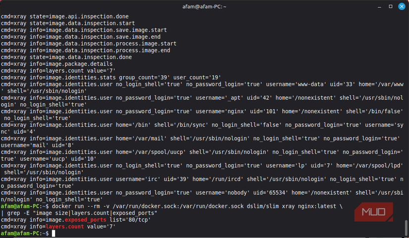 Inspeccionar la imagen nginx antes de adelgazar