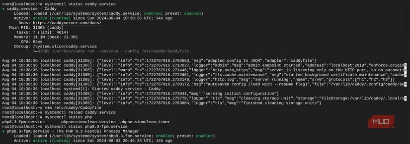 ক্যাডি চলমান লিনাক্স সার্ভার