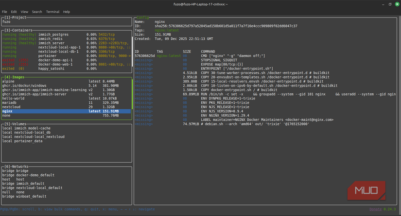 nginx images on lazydocker