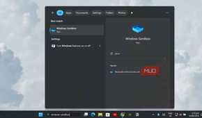 Open Windows Sandbox
