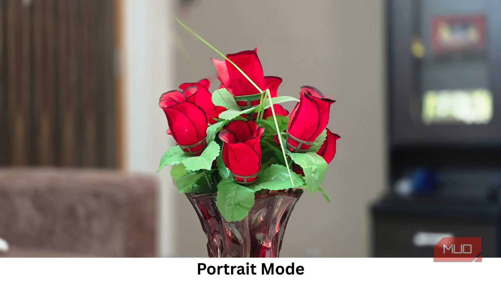 Imagen tomada en modo retrato.