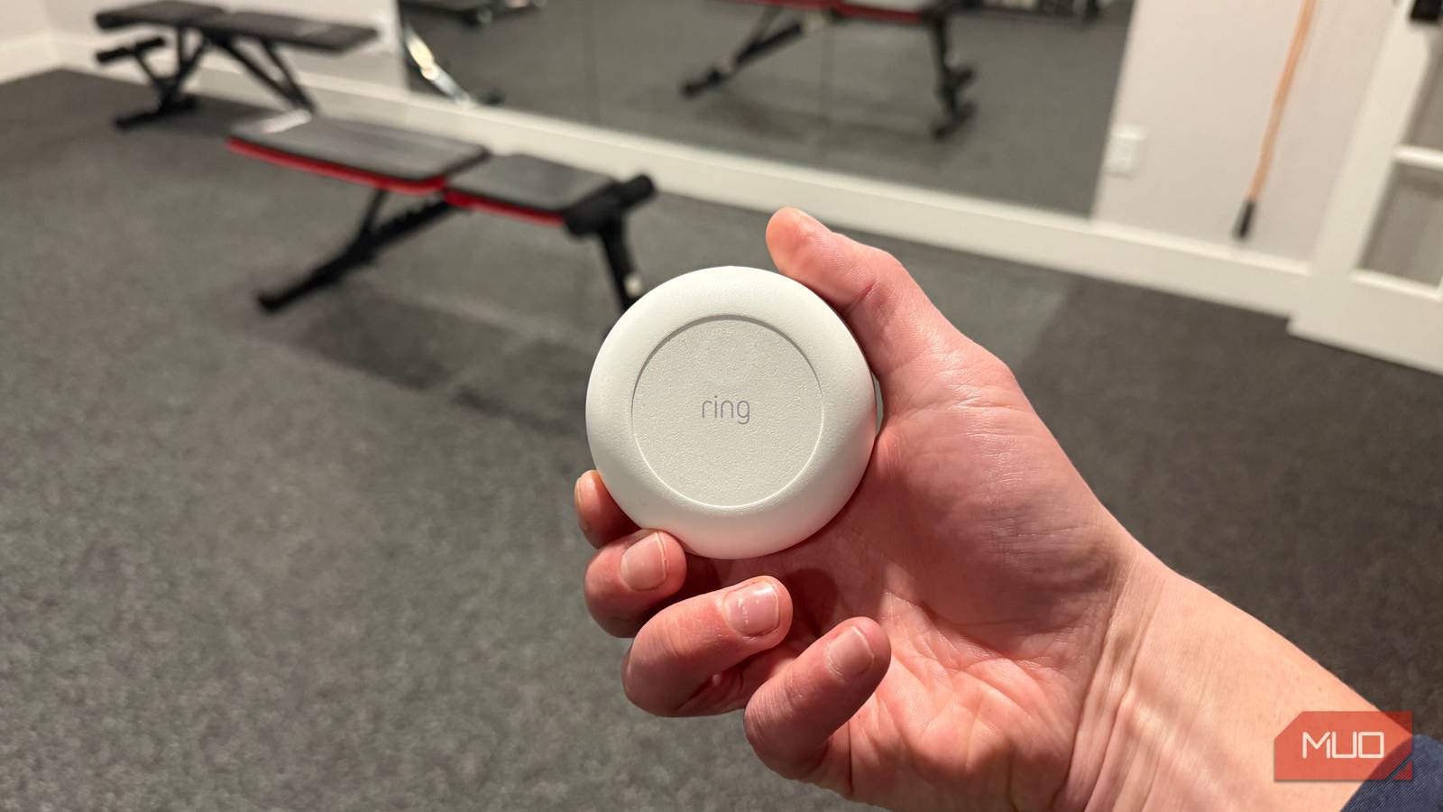 A gadget woke me at 2am and saved my basement A gadget woke me at 2am and saved my basement