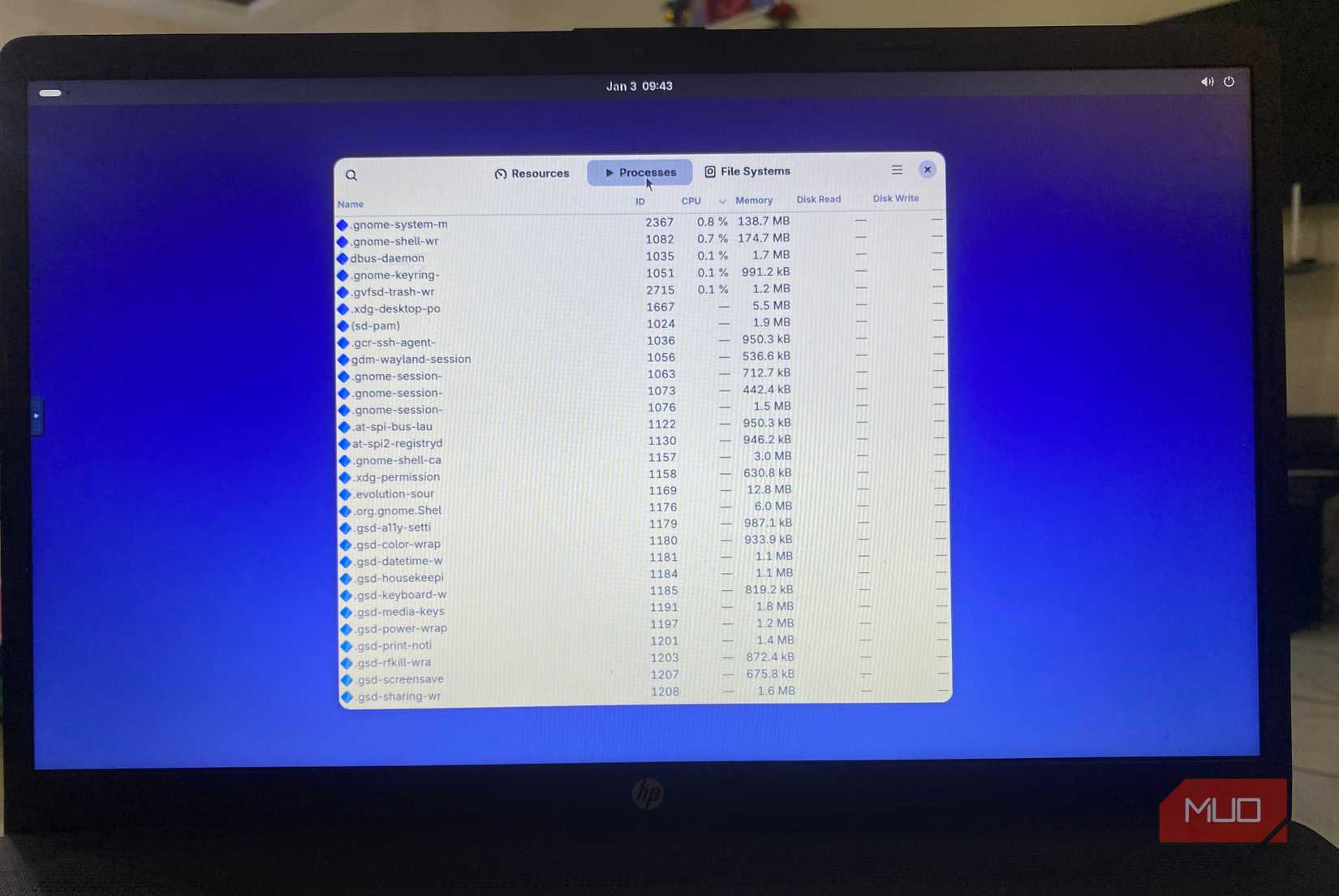 runnin NixOS processes