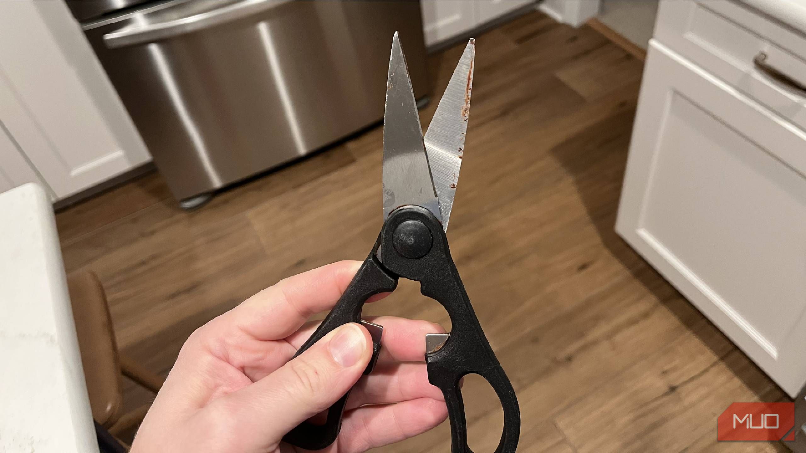 Kitchen shears being held with rust on them