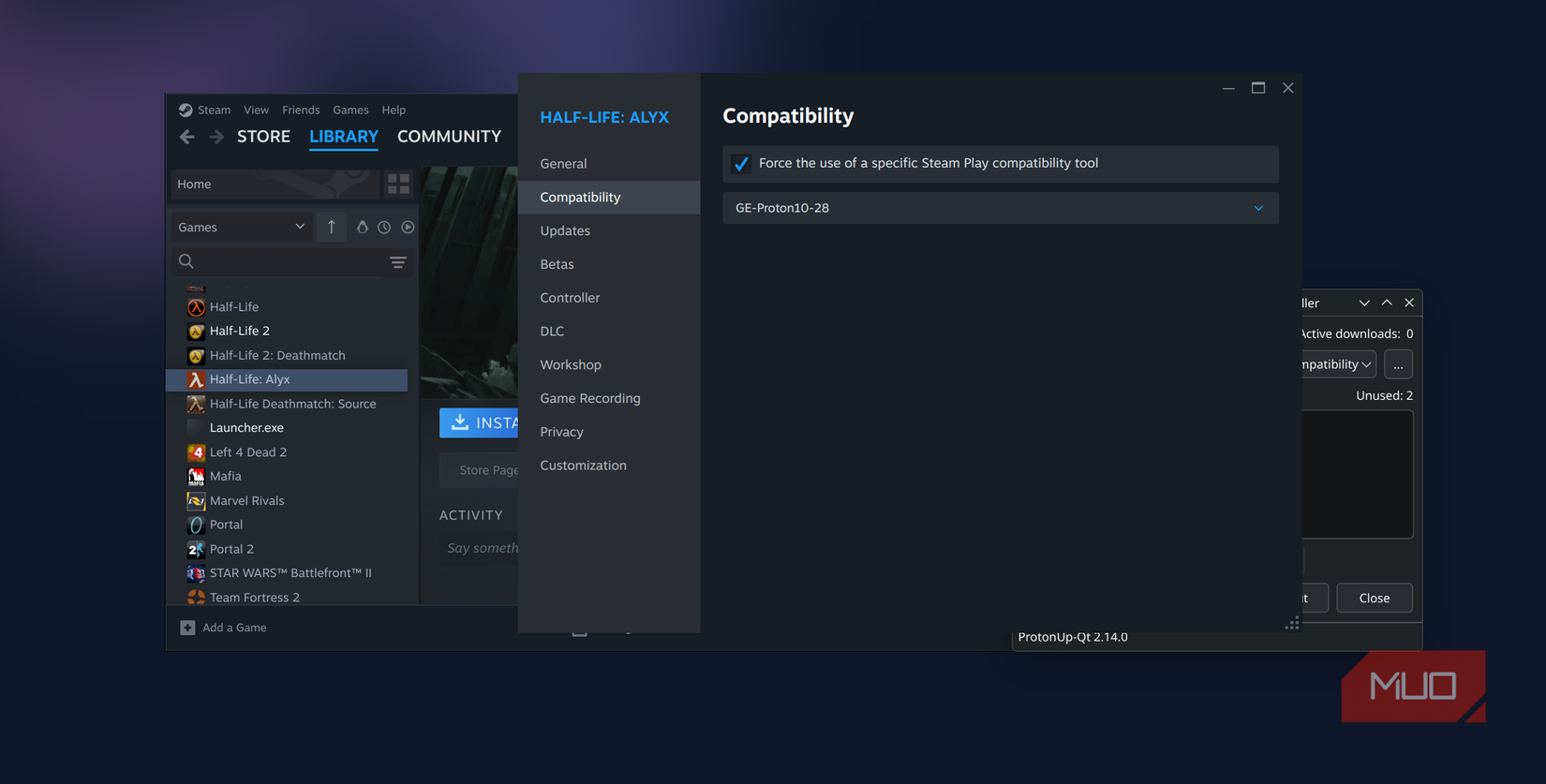 Proton settings Steam