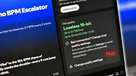 spotify lossless on spotify desktop.