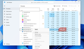 Task Manager end task optiontab