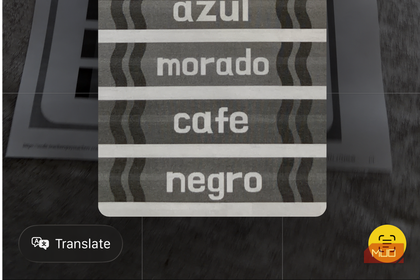 Translate with iPhone Camera