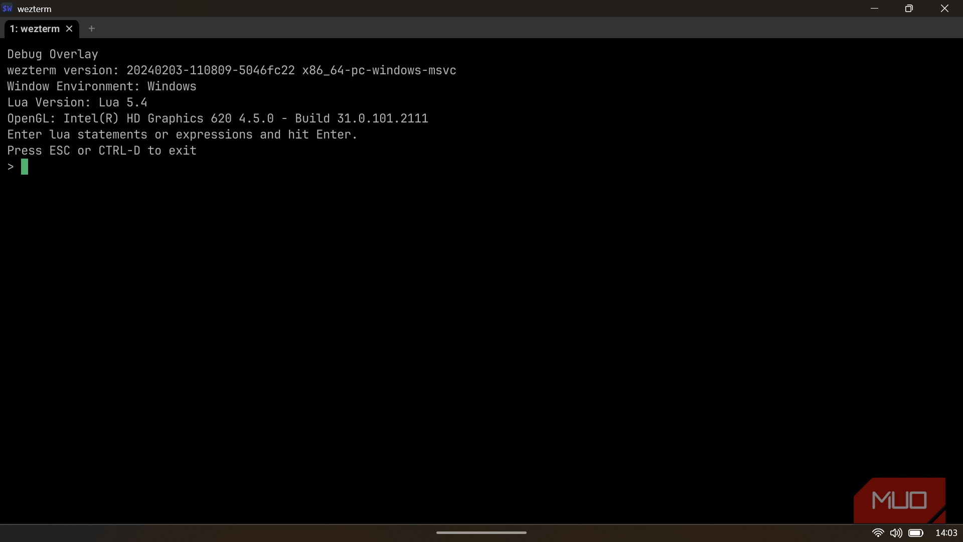 WezTerm debug overlay displaying the current build version, Lua environment, and OpenGL graphics backend details.