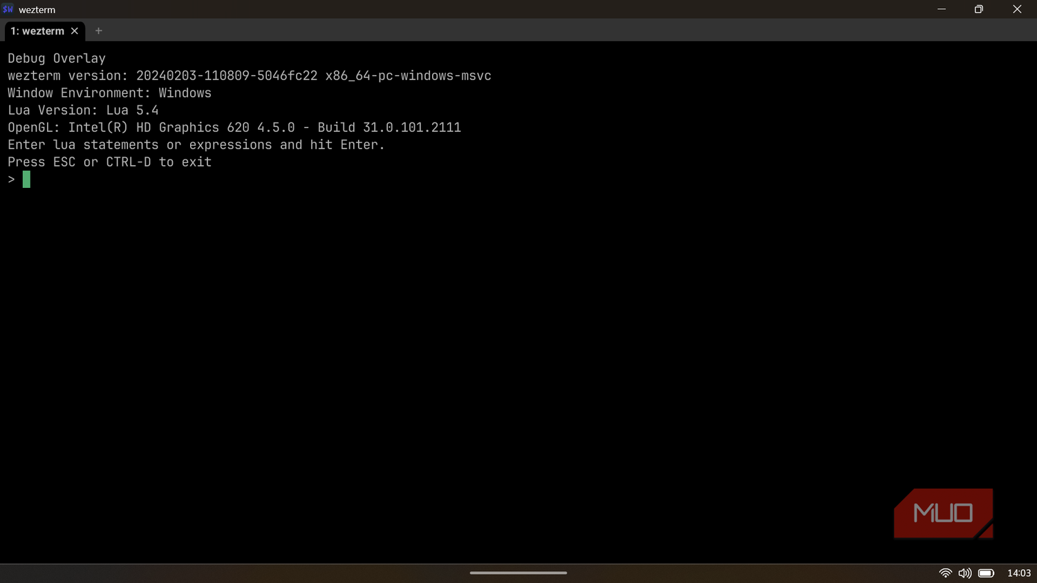 WezTerm debug overlay displaying the current build version, Lua environment, and OpenGL graphics backend details.