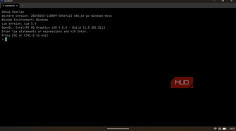 WezTerm debug overlay displaying the current build version, Lua environment, and OpenGL graphics backend details.