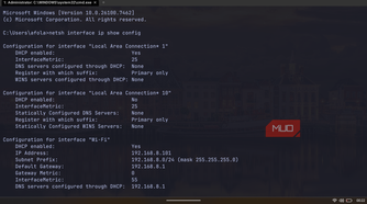 WezTerm displaying network interface IP configurations using the netsh command.