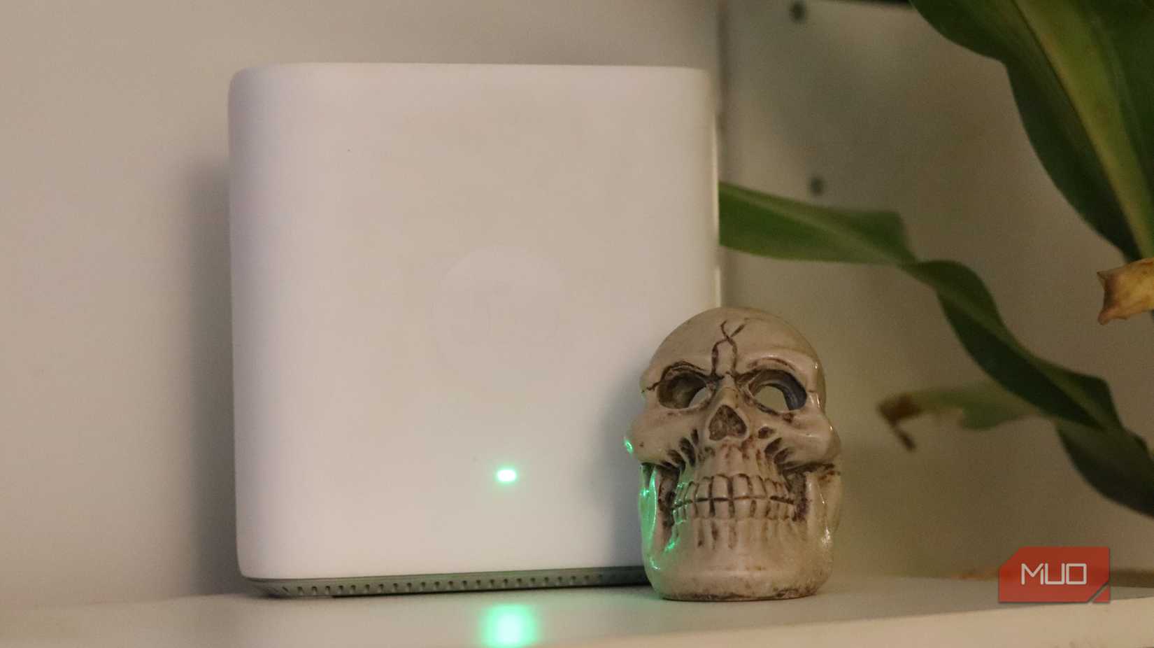 روتر وای‑فای با جمجمهٔ جلوی آن