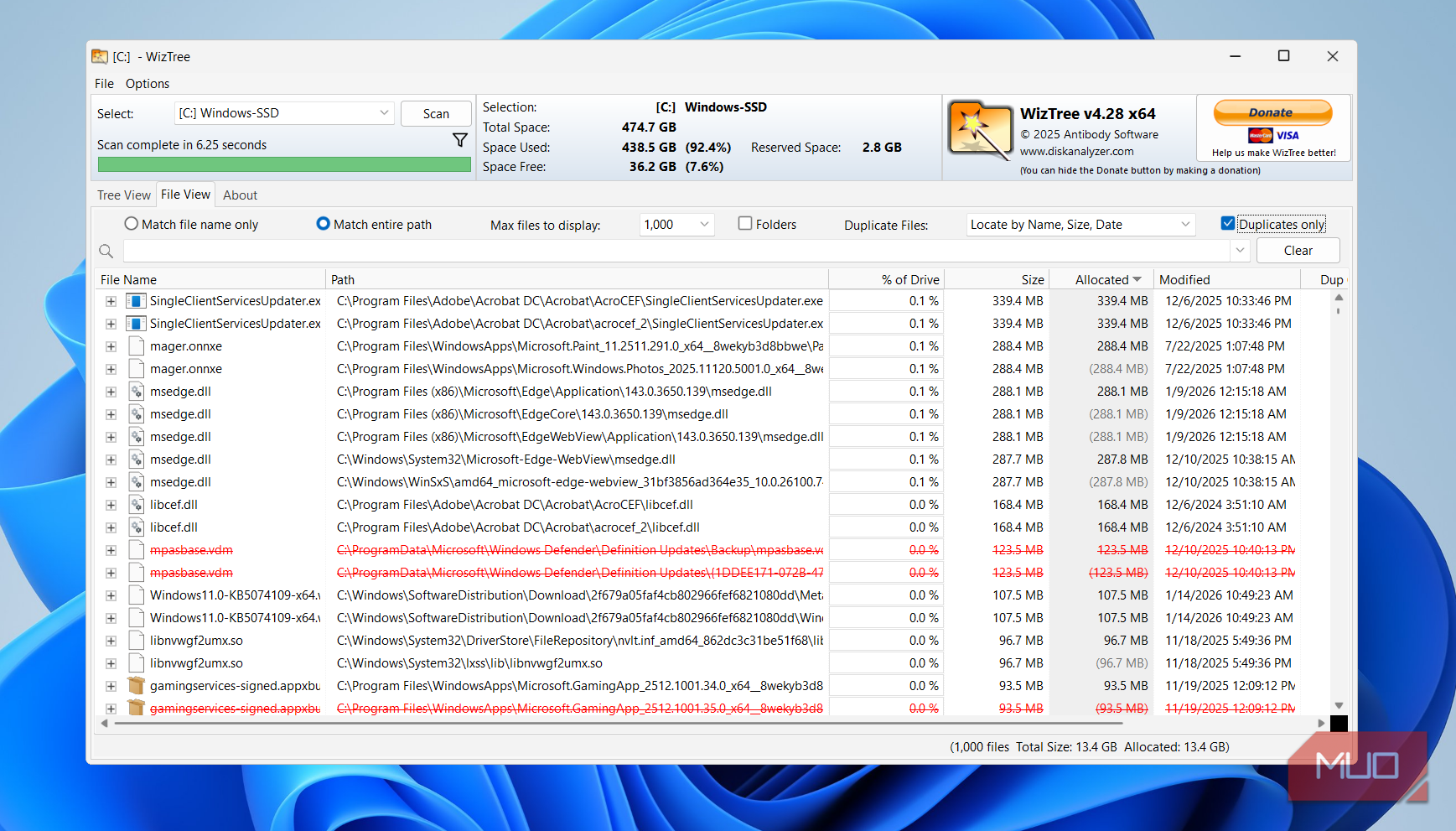 WizTree duplicate files on PC