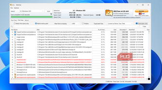 WizTree duplicate files on PC