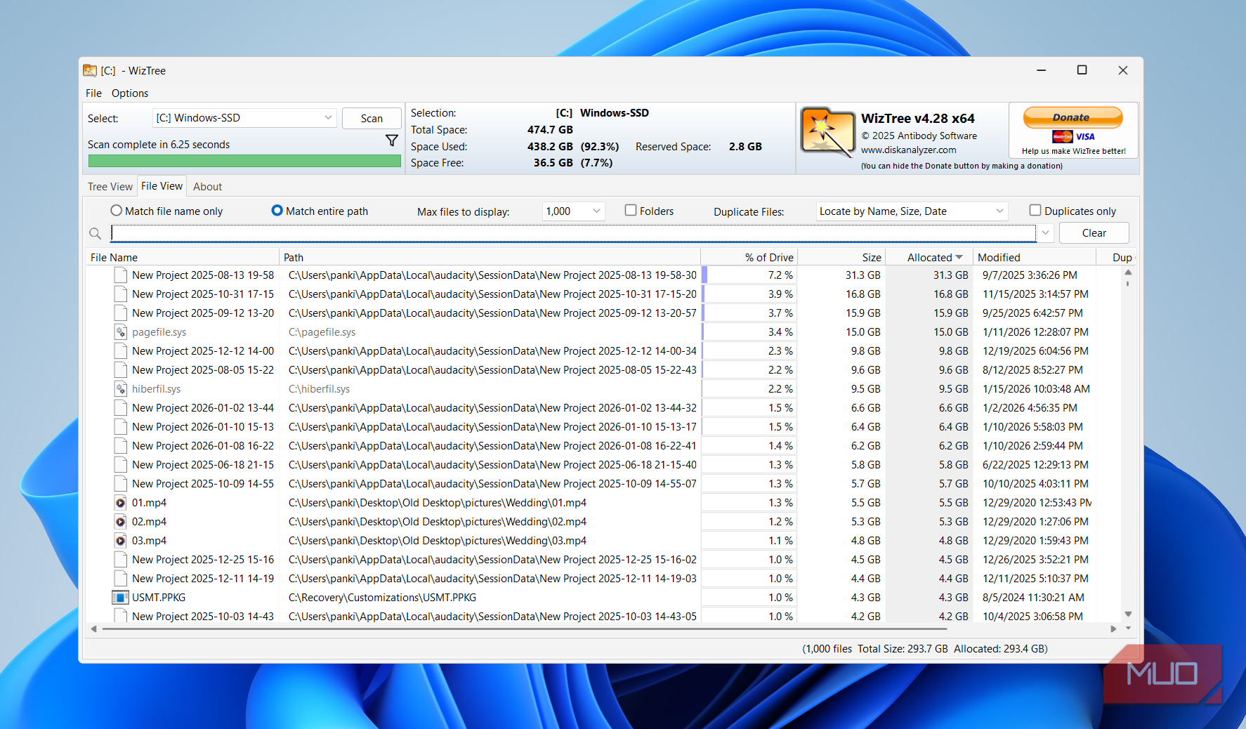 WizTree file view on PC