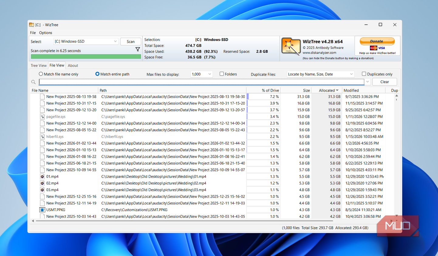 WizTree file view on PC