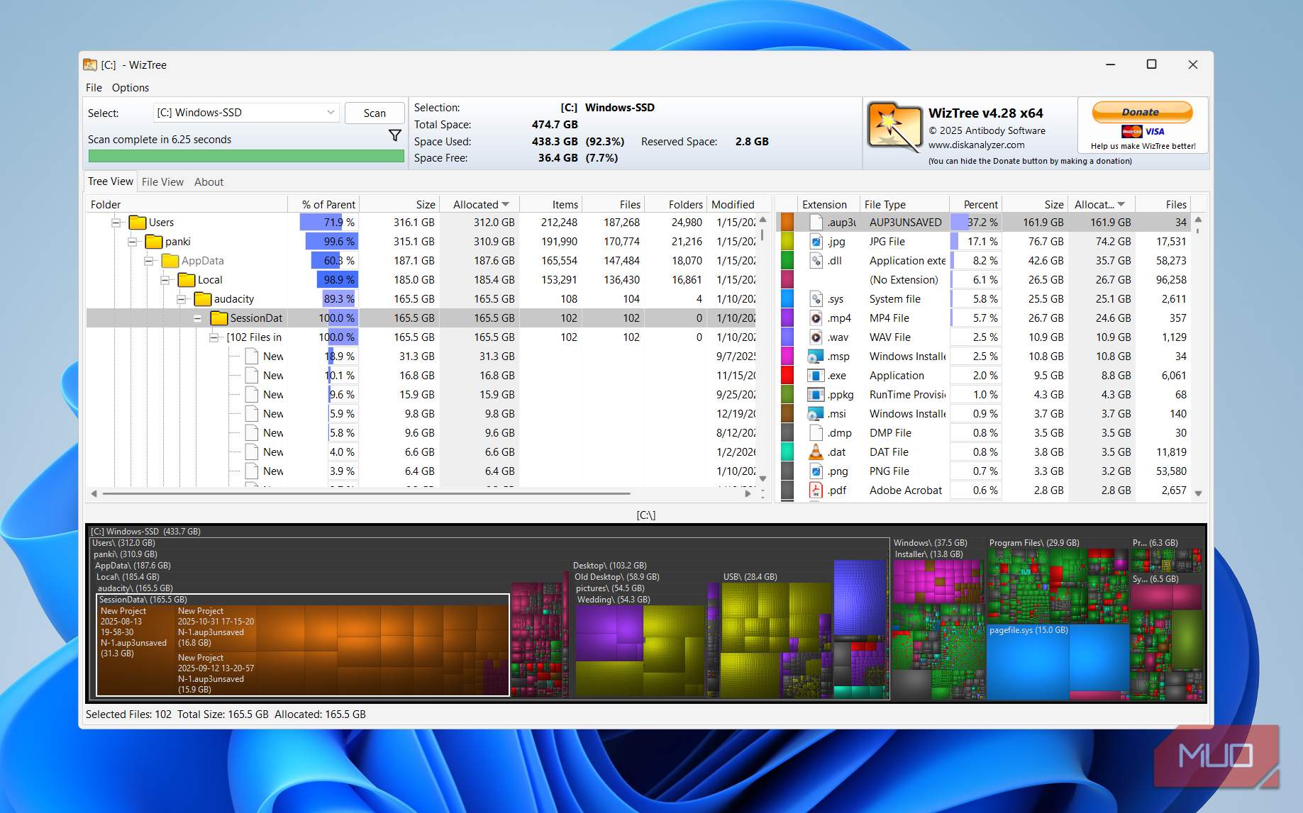 WizTree on Windows desktop