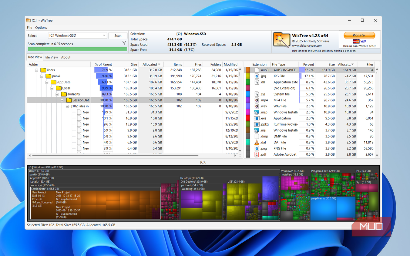 WizTree on Windows desktop