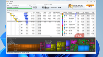 WizTree on Windows desktop