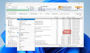 WizTree right-click menu on PC