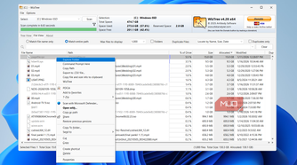 WizTree right-click menu on PC