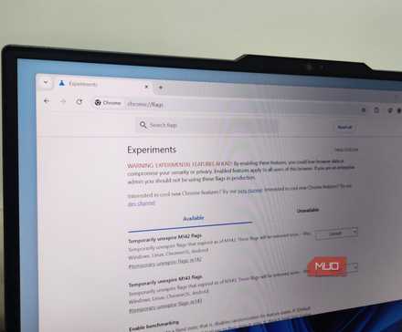 Chrome Flagsの検索画面