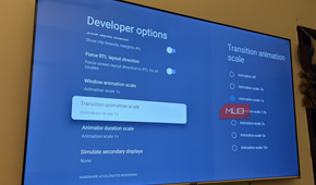 Developer options in the Settings icon on Smart TV