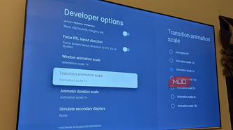 Developer options in the Settings icon on Smart TV