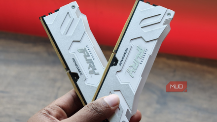 RAM sticks in hand