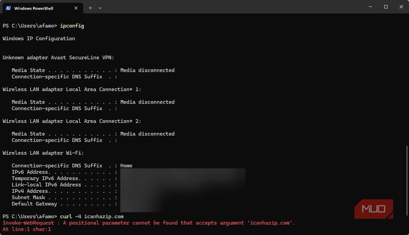 উইন্ডোজে ipconfig চলছে