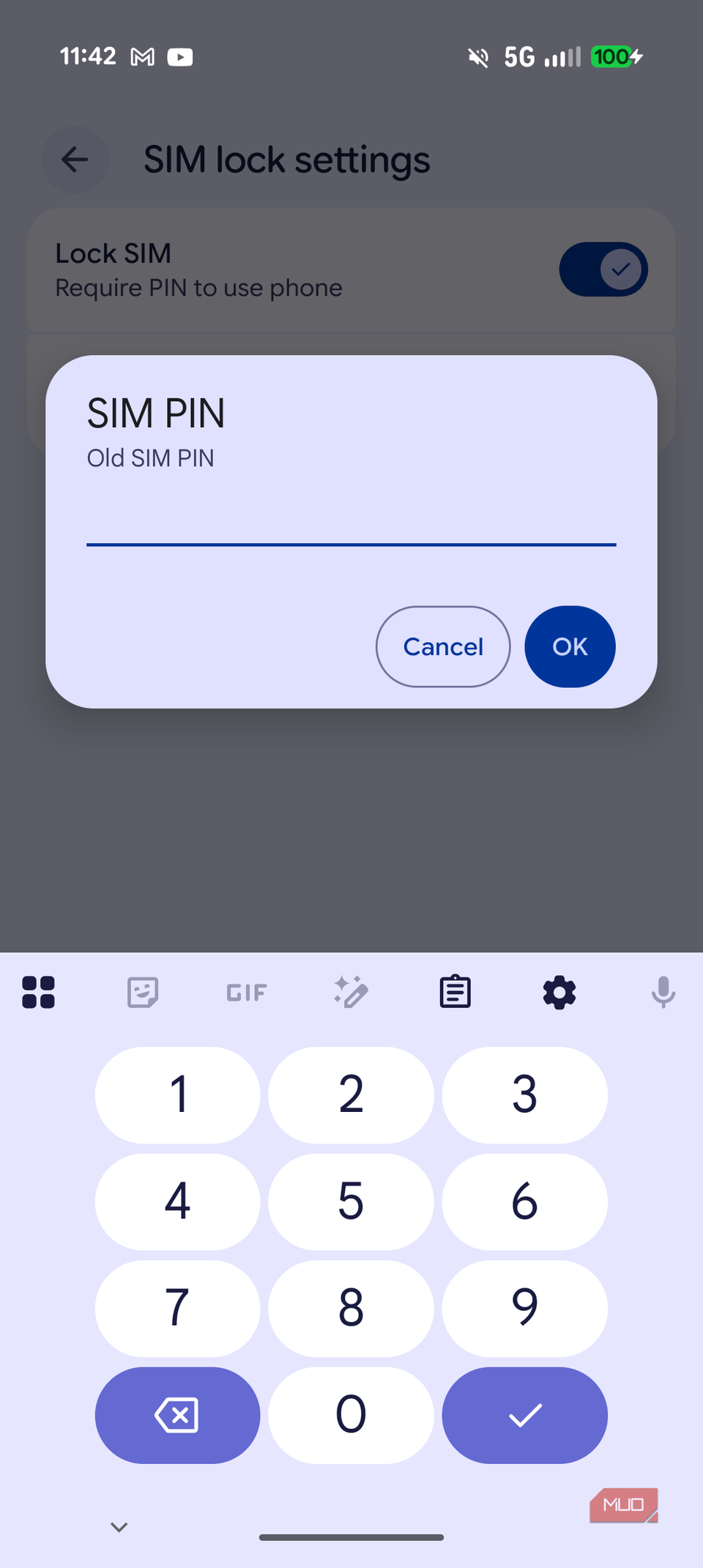 You should lock your SIM card before someone else does