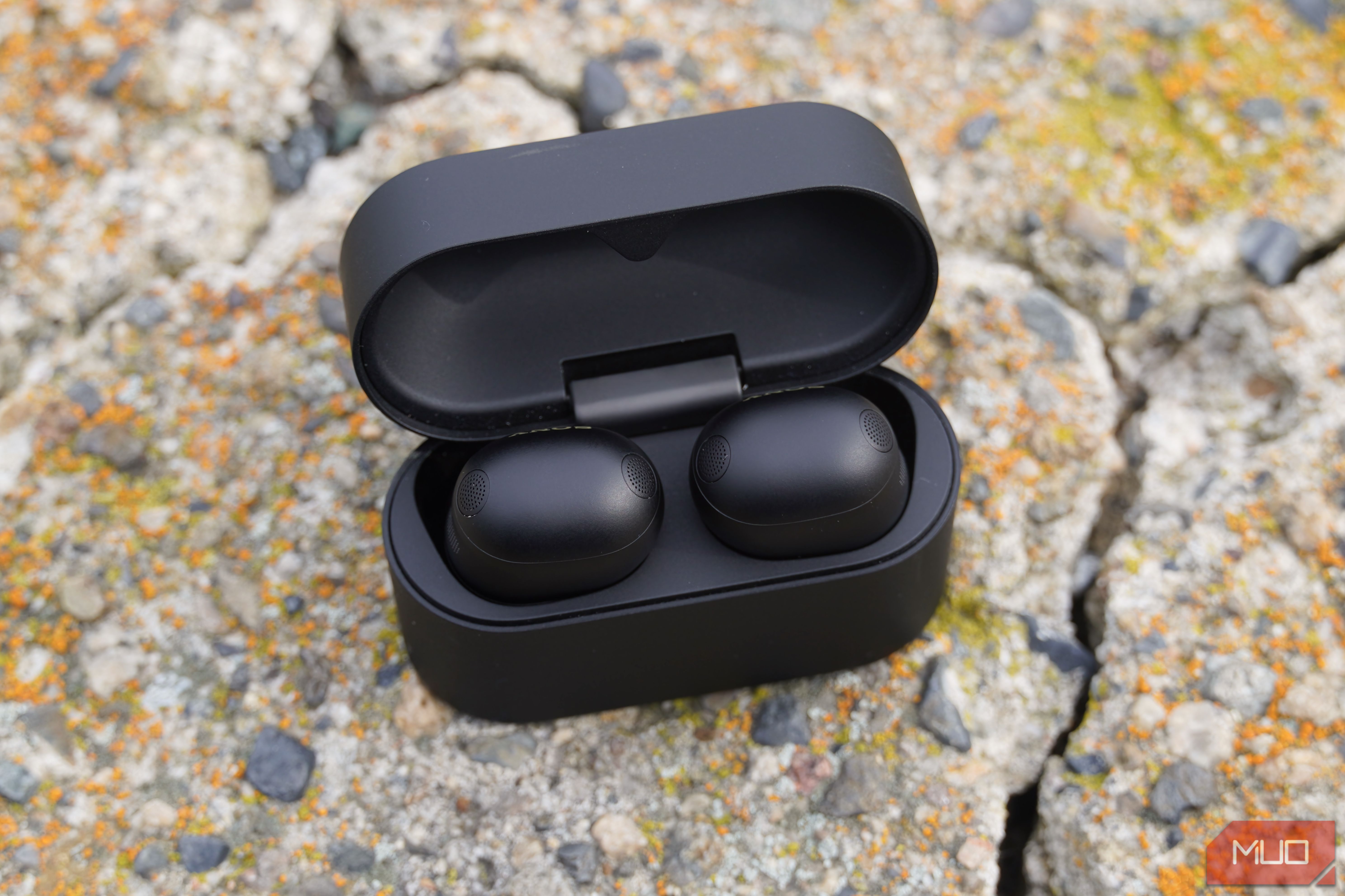 The Sony WF-1000XM6 earbuds in the charging case on a rock.