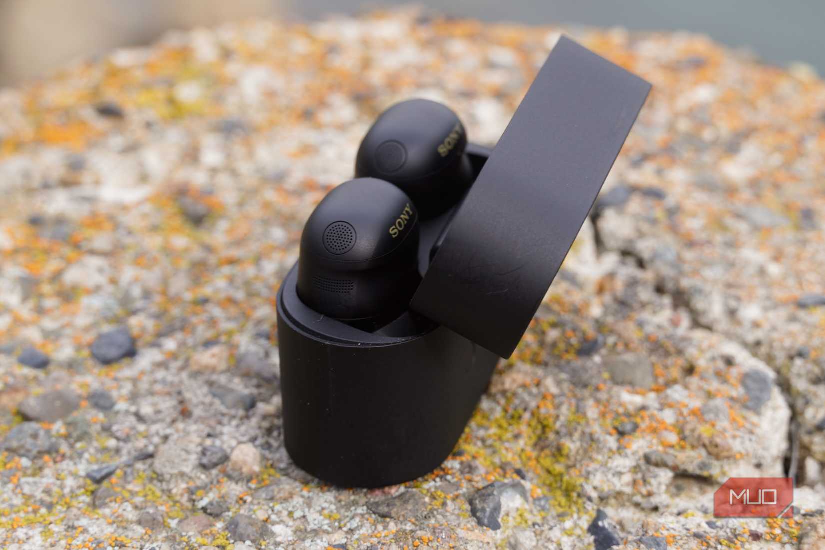 Sony WF-1000XM6 earbuds in their charging case.